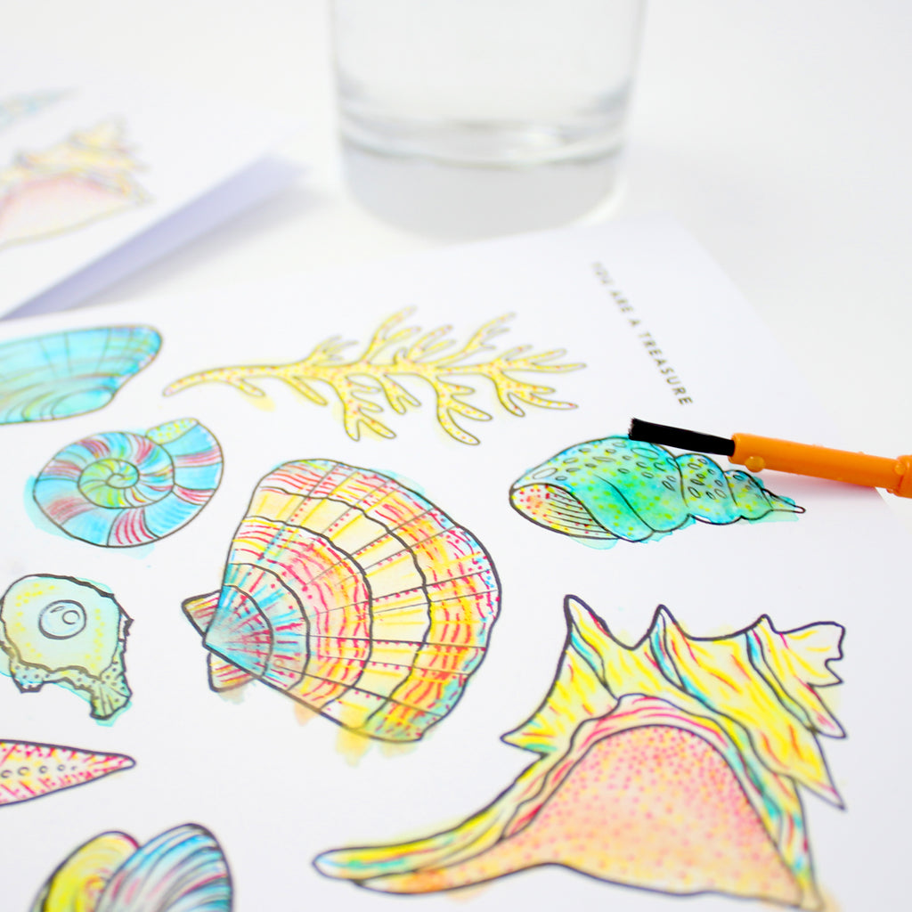 Seashells Paint With Water Card